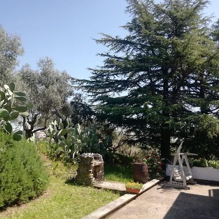 La Campagna Di Rosy Leilighet Genzano di Roma Eksteriør bilde
