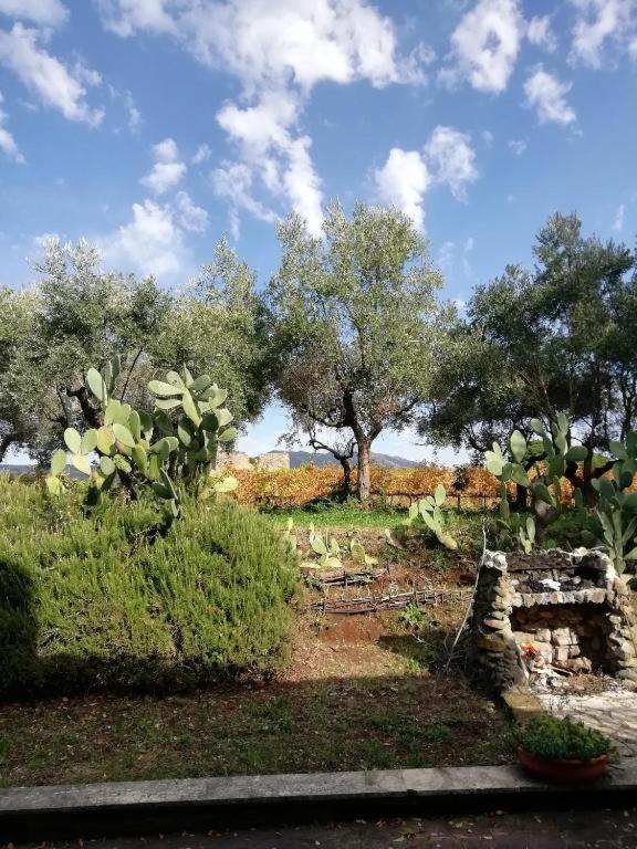 La Campagna Di Rosy Leilighet Genzano di Roma Eksteriør bilde