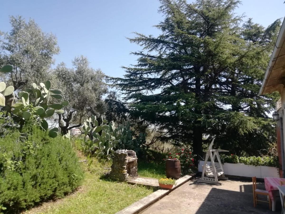 La Campagna Di Rosy Leilighet Genzano di Roma Eksteriør bilde